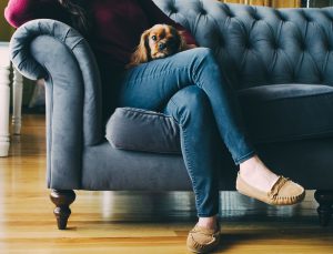 femme assise sur un canapé avec un chien sur les genoux