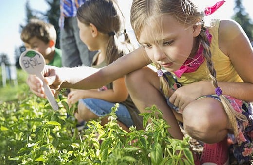 jardinage-potager-enfant